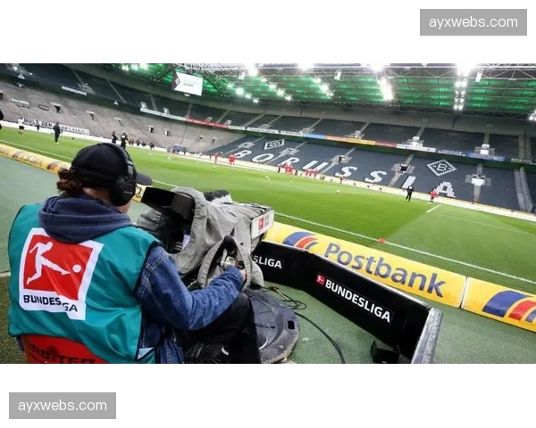 针对球迷侮辱性横幅,德国足协对一家德甲俱乐部启动调查程序 针对球迷侮辱性横幅,德国足协对一家德甲俱乐部启动调查程序